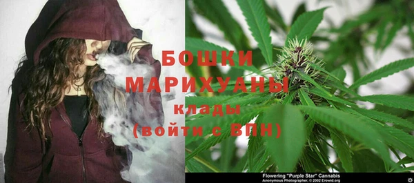 бутират Пестово
