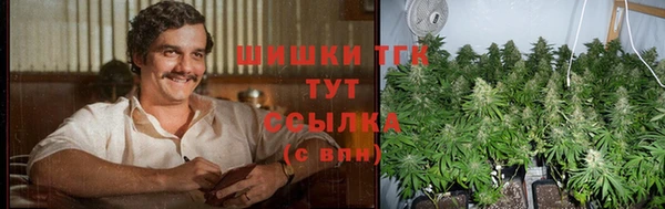 трава Переславль-Залесский